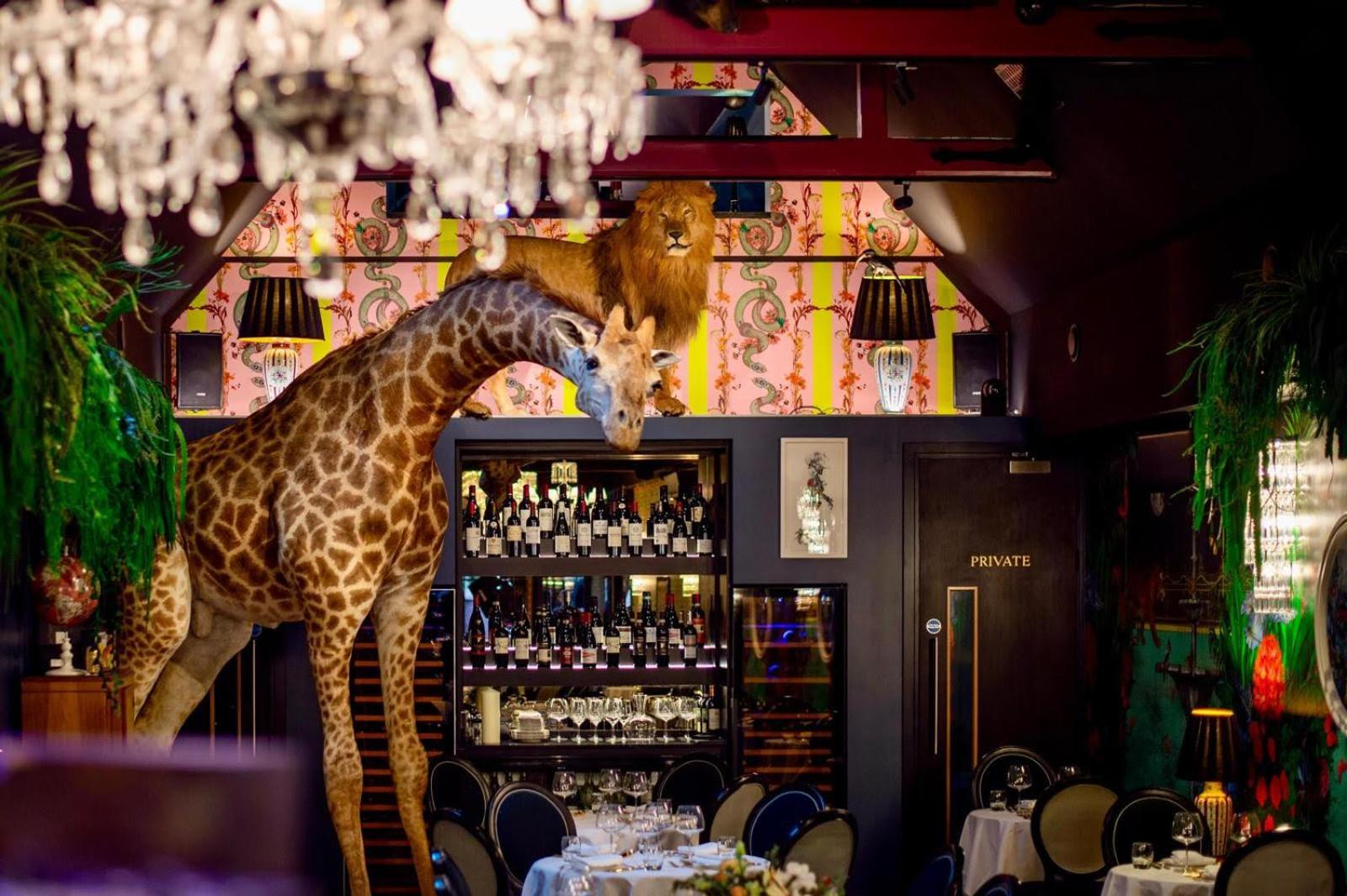 Hux Hotel, Kensington London Bagian luar foto